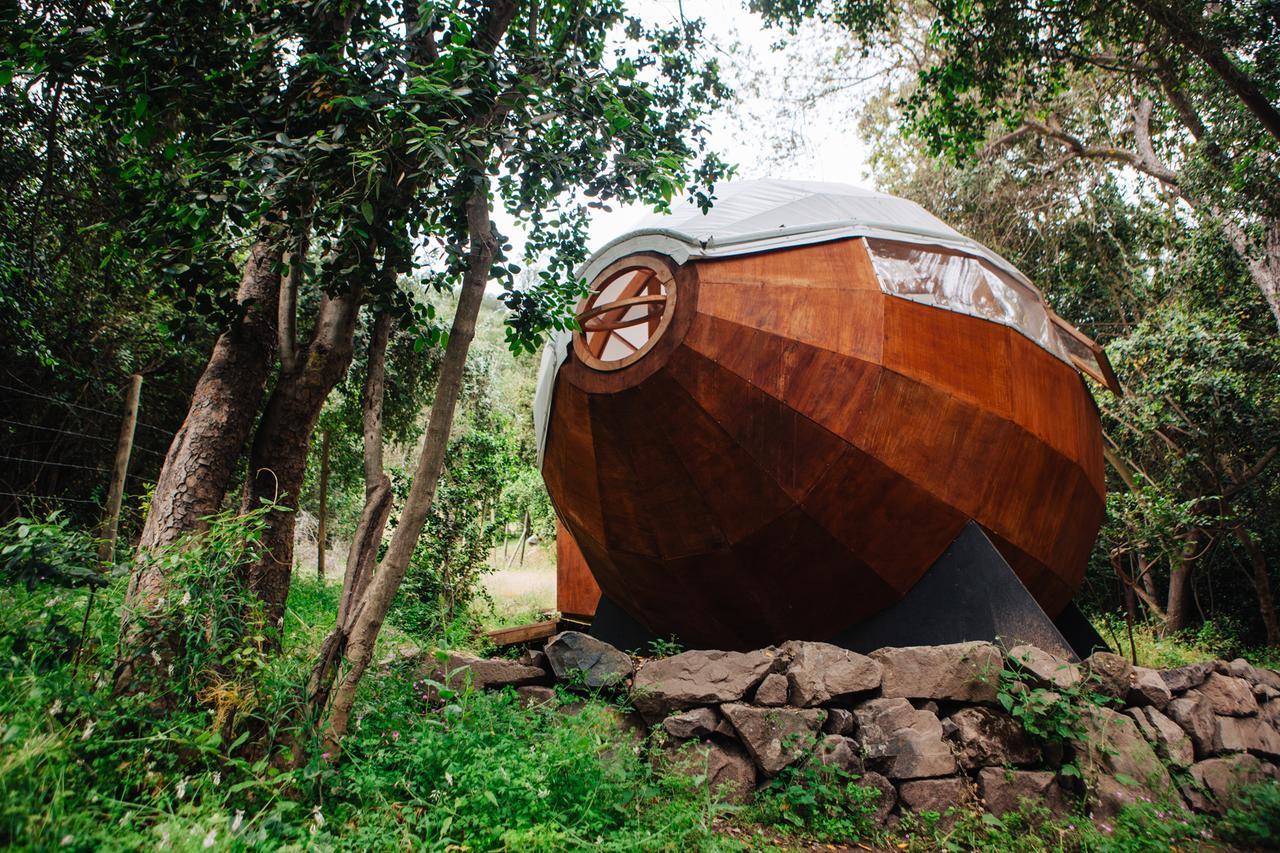 Biosfera Lodge Olmué Exterior foto